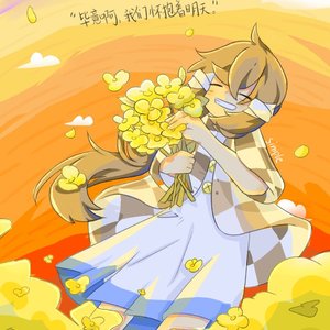 给一位平行线之外的人